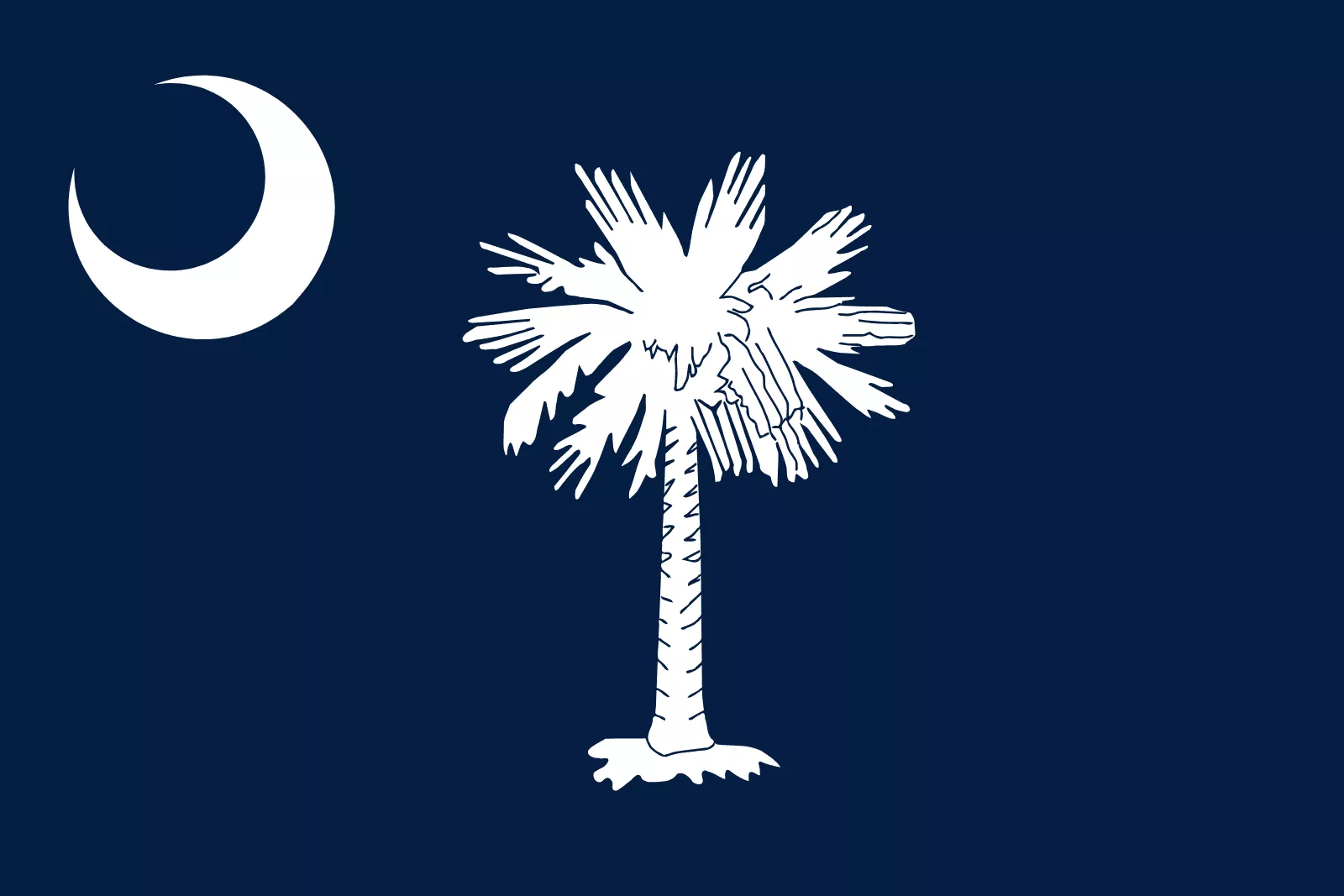 South Carolina's Flag